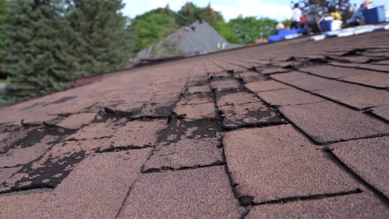 Best Roof Insulation Installation  in Sarasota, FL