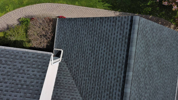 Best Roof Moss and Algae Removal  in Sarasota, FL