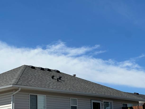 Best Skylight Installation and Repair  in Sarasota, FL